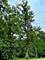 000 Forest Oak Lots 56789131424, Mchenry, IL 60050