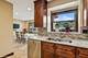 7229 W Lunt, Chicago, IL 60631