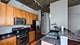 1305 S Michigan Unit 1308, Chicago, IL 60605