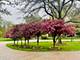 1400 Banbury, Inverness, IL 60067