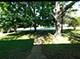 1206 University, Dekalb, IL 60115