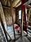 5527 S Winchester, Chicago, IL 60636