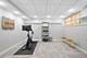 4220 N Kolmar, Chicago, IL 60641