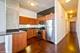 235 W Van Buren Unit 4222, Chicago, IL 60607