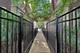 3011 W Cornelia, Chicago, IL 60618