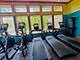 3633 Ancient Oak, Elgin, IL 60124