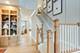 26158 W Sherwood, Plainfield, IL 60585