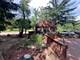 2795 28th lot 1182, Seneca, IL 61360