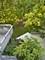 4445 Brittany, Lisle, IL 60532