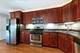 300 Opatrny Unit 101, Fox River Grove, IL 60021