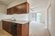 1720 Oak Unit 407, Evanston, IL 60201