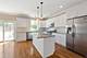 1146 Gunderson, Oak Park, IL 60304
