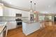 1146 Gunderson, Oak Park, IL 60304