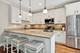 1306 W Granville Unit 1, Chicago, IL 60660