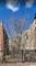 1922 S Christiana, Chicago, IL 60623