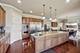 24 Wood Oaks, South Barrington, IL 60010