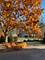 400 St Andrews, Gurnee, IL 60031