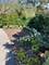 400 St Andrews, Gurnee, IL 60031