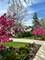 400 St Andrews, Gurnee, IL 60031
