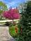 400 St Andrews, Gurnee, IL 60031