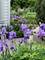 400 St Andrews, Gurnee, IL 60031