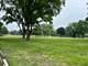 107 W Brighton, Mount Prospect, IL 60056