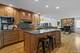 1614 Orth, Wheaton, IL 60189