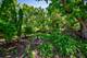 275 S Mchenry, Crystal Lake, IL 60014