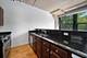 1150 W 15th Unit 232, Chicago, IL 60608