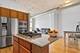 1530 S State Unit 523, Chicago, IL 60605