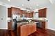 2847 N Pulaski Unit 3S, Chicago, IL 60641