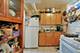 392 Plum, Elgin, IL 60120