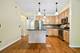 2335 W Belle Plaine Unit 106, Chicago, IL 60618