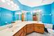 9963 Constitution, Orland Park, IL 60462