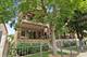 4110 N California Unit 1, Chicago, IL 60618