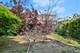 3444 S Western, Chicago, IL 60608