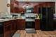 462 S Litchfield, Round Lake, IL 60073