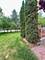 10569 Lancaster, Huntley, IL 60142