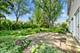 506 S Brighton, Palatine, IL 60067