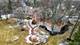 18421 W Wood Hollow, Libertyville, IL 60048