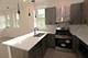 1236 W Hubbard Unit 3S, Chicago, IL 60642