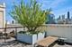 758 N Larrabee Unit 427, Chicago, IL 60654