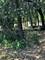 Lot 5 Oak Meadow, Homer Glen, IL 60491