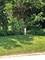 Lot 5 Oak Meadow, Homer Glen, IL 60491