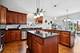 12820 Tipperary, Plainfield, IL 60585