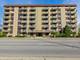 850 Des Plaines Unit 207, Forest Park, IL 60130
