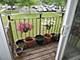 2216 Andover, Schaumburg, IL 60194