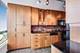 5415 N Sheridan Unit 4511, Chicago, IL 60640