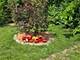 4910 143rd, Midlothian, IL 60445