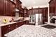 3907 Eagle Ridge, Elgin, IL 60124